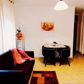Departamento Centro Mendoza